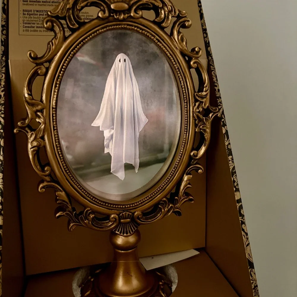 Christian Siriano New York LED Lighted Ghost Mirror Gold Ornate Halloween Decor